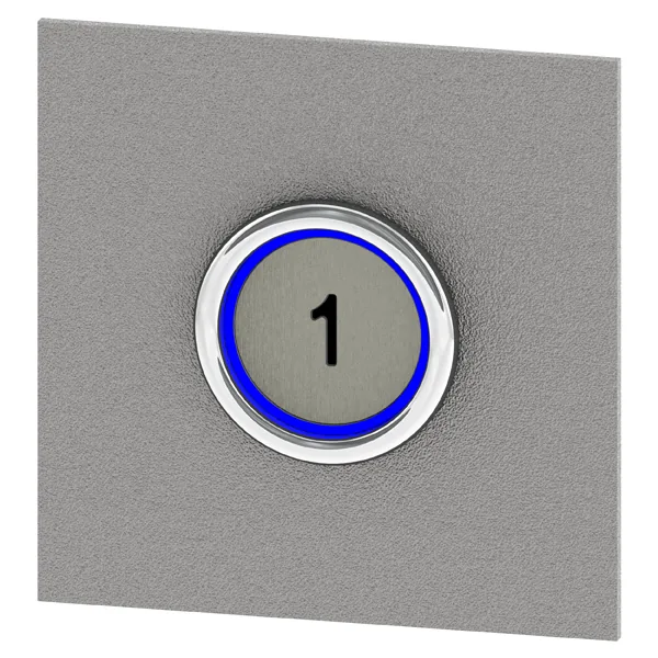 pb33r blau